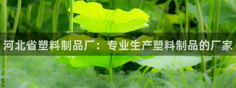 太陽集團董事長是誰：河北省塑料制品廠：專業(yè)生產塑料制品的廠家