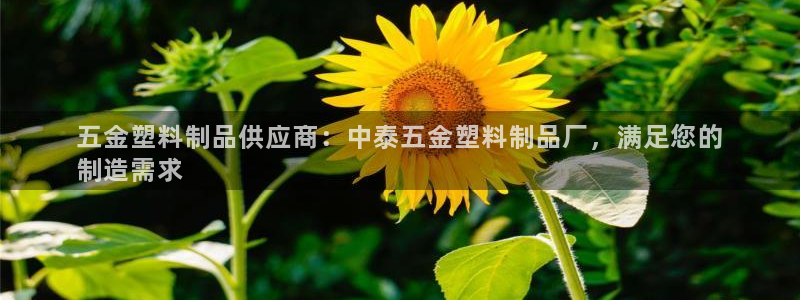 太陽(yáng)集團(tuán)下載鏈接：五金塑料制品供應(yīng)商：中泰五金塑料制品廠，滿
