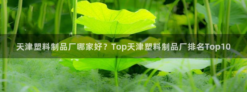 太陽軟件：天津塑料制品廠哪家好？Top天津塑料制品廠排名To