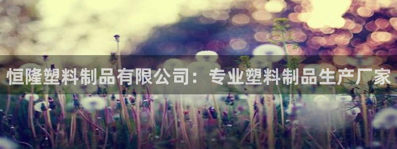 太陽誠集團下載：恒隆塑料制品有限公司：專業(yè)塑料制品生產廠家