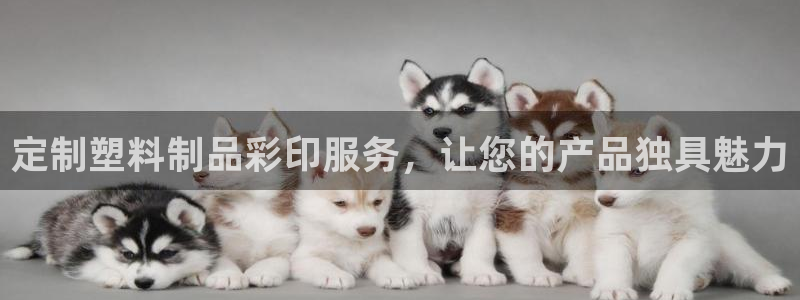 太陽集團的法人代表：定制塑料制品彩印服務(wù)，讓您的產(chǎn)品獨具魅力