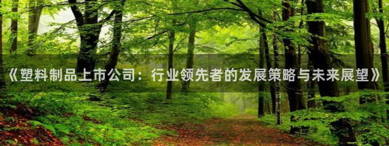 冷太陽什么意思：《塑料制品上市公司：行業(yè)領(lǐng)先者的發(fā)展策略與未