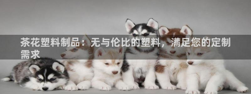 太陽集團網(wǎng)站視頻：茶花塑料制品：無與倫比的塑料，滿足您的定制