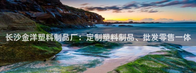 太陽集團2018登錄網(wǎng)址查詢：長沙金洋塑料制品廠：定制塑料制