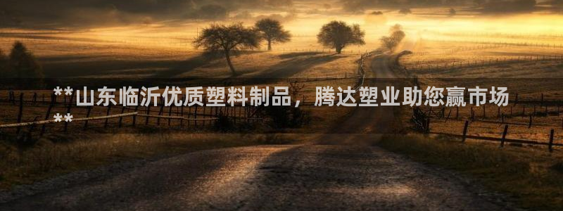 太陽app下載網(wǎng)址進(jìn)入：**山東臨沂優(yōu)質(zhì)塑料制品，騰達(dá)塑業(yè)助
