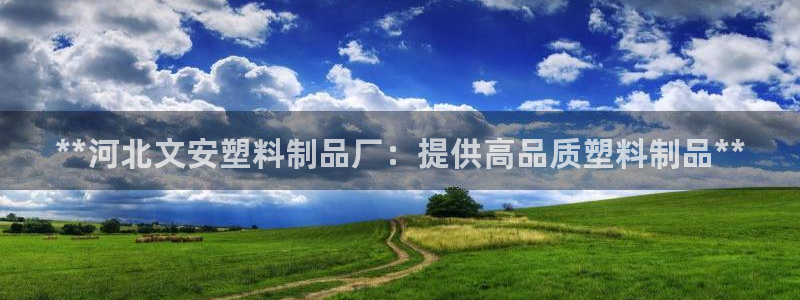 太陽成集團洗米華：**河北文安塑料制品廠：提供高品質(zhì)塑料制品