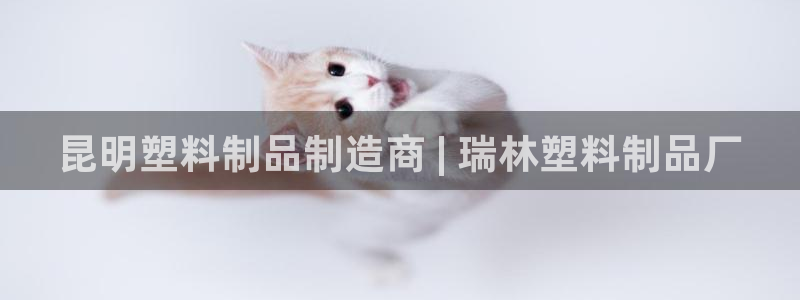 太陽成集團(tuán)tyc33455cc：昆明塑料制品制造商 | 瑞林