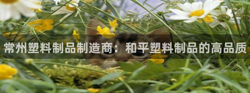 太陽成娛樂集團：常州塑料制品制造商：和平塑料制品的高品質(zhì)