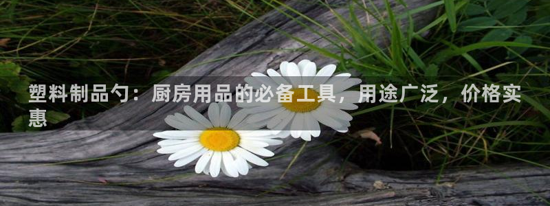 太陽(yáng)成集團(tuán)網(wǎng)址 app：塑料制品勺：廚房用品的必備工具，用途