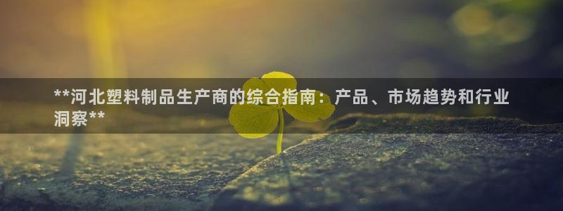 太陽地產(chǎn)老板：**河北塑料制品生產(chǎn)商的綜合指南：產(chǎn)品、市場趨