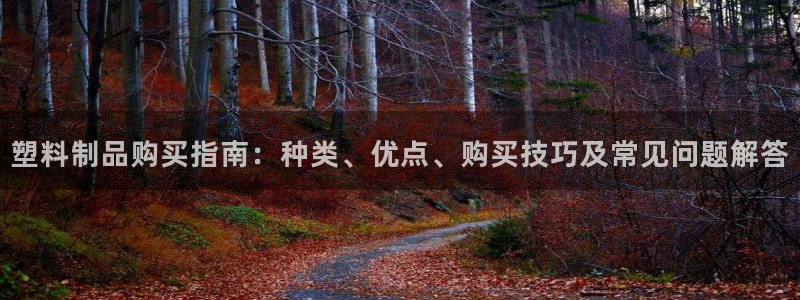 太陽誠集團有限公司是國企嗎：塑料制品購買指南：種類、優(yōu)點、購