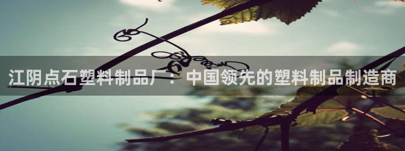 太陽游戲城app：江陰點石塑料制品廠：中國領先的塑料制品制造