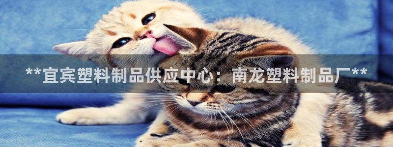 太陽gg打不開了嗎：**宜賓塑料制品供應(yīng)中心：南龍塑料制品廠